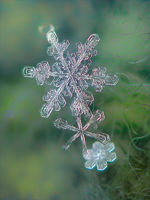 Snowflakes are one of God's miracles. Each snowflake is uniquely shaped with infinite possibilities. Snowflakes are one of God's miracles. Each snowflake is uniquely shaped with infinite possibilities.