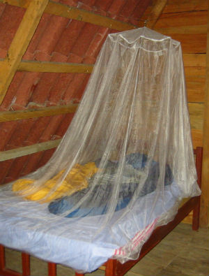 There is hope: For the past 12 years new cases of malaria have fallen by 25 percent, and deaths by 42 percent thanks to better diagnosis, pesticides and the use of bed nets. There is hope: For the past 12 years new cases of malaria have fallen by 25 percent, and deaths by 42 percent thanks to better diagnosis, pesticides and the use of bed nets.