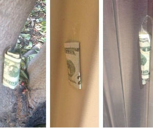 The benefactor has left money under chairs and benches in public parks, on stairways -- even a unisex bathroom. The benefactor has left money under chairs and benches in public parks, on stairways -- even a unisex bathroom.
