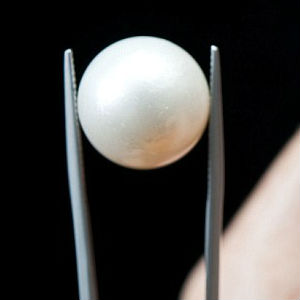The earrings were worn on an almost daily basis by the lady who had no idea of their true worth. A gift from her husband, the earrings were made of two large round pearls. Experts later identified one of the gems as a natural pearl. The earrings were worn on an almost daily basis by the lady who had no idea of their true worth. A gift from her husband, the earrings were made of two large round pearls. Experts later identified one of the gems as a natural pearl.