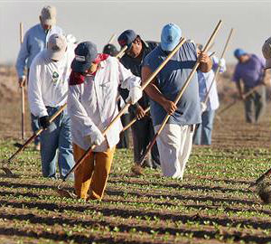 Immigrants have made gains across the labor market, including lower-skilled jobs such as maintenance, construction, and food service; middle-skilled jobs like office support and health care support; and highÂer-skilled jobs, including management, computers, and health care practitioners. Immigrants have made gains across the labor market, including lower-skilled jobs such as maintenance, construction, and food service; middle-skilled jobs like office support and health care support; and highÂer-skilled jobs, including management, computers, and health care practitioners.