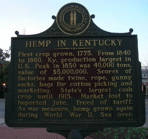 Now legal to cultivate in Kentucky, hemp is also legal in 15 other U.S. states that have removed barriers to hemp production. Now legal to cultivate in Kentucky, hemp is also legal in 15 other U.S. states that have removed barriers to hemp production.