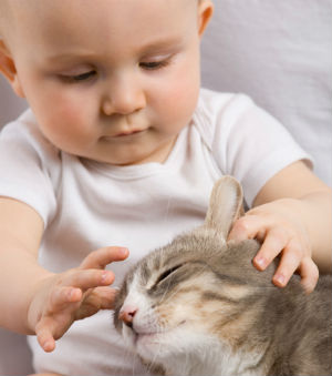 Far from sucking a baby's breath, dog and cat dander may in fact be good for infants as it builds their respiratory immune systems. Far from sucking a baby's breath, dog and cat dander may in fact be good for infants as it builds their respiratory immune systems.
