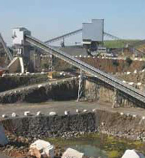 Lack of dust control systems at stone-crushing factories mean silica dust will also affect people in nearby areas. In fact, most crushing units are located in or near residential areas. Lack of dust control systems at stone-crushing factories mean silica dust will also affect people in nearby areas. In fact, most crushing units are located in or near residential areas.