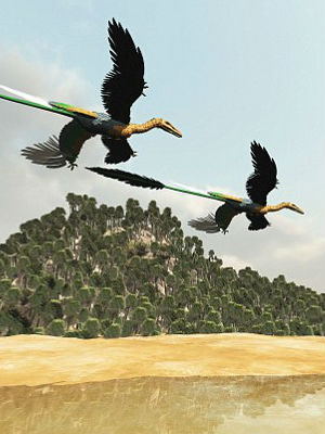 This nightmare creature traveled light. Only four feet long and nine pounds heavy, the Changyu lived about 125 million years ago. This nightmare creature traveled light. Only four feet long and nine pounds heavy, the Changyu lived about 125 million years ago.