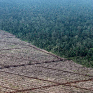 A new report from the group warns that continued population growth could top a worldwide 10 billion by 2100. The report, entitled 'Our Plundered Planet,' said the result will be less energy and other resources for humans. A new report from the group warns that continued population growth could top a worldwide 10 billion by 2100. The report, entitled 'Our Plundered Planet,' said the result will be less energy and other resources for humans.