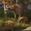 A new study suggests that the earliest American natives hunted to extinction, a precursor to modern elephants. Image of A new study suggests that the earliest American natives hunted to extinction, a precursor to modern elephants.