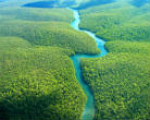 As little as 2,000 years ago, the parts of the Amazon rainforest might have actually been savannah, new evidence suggests. Image of As little as 2,000 years ago, the parts of the Amazon rainforest might have actually been savannah, new evidence suggests.