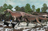 Most dinosaurs may have had feathers, a new study suggests. Image of Most dinosaurs may have had feathers, a new study suggests.