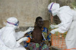 The Ebola virus continues to spread in Africa, with 50 new cases developing in three West African countries. Image of The Ebola virus continues to spread in Africa, with 50 new cases developing in three West African countries.