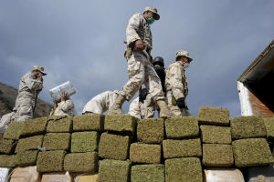 Mexican soldiers with hundreds of bricks of marijuana, which is about to be burned. Mexican soldiers with hundreds of bricks of marijuana, which is about to be burned.