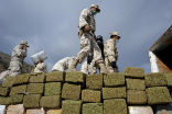 Mexican soldiers with hundreds of bricks of marijuana, which is about to be burned. Image of Mexican soldiers with hundreds of bricks of marijuana, which is about to be burned.