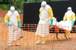 The World Health Organization reports that over 1,000 people have died in the Ebola outbreak which began in March of 2014. Image of The World Health Organization reports that over 1,000 people have died in the Ebola outbreak which began in March of 2014.