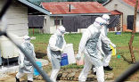 Aid workers in the Congo, which is now the fifth African nation to suffer from the current Ebola outbreak, which began in early 2014. Image of Aid workers in the Congo, which is now the fifth African nation to suffer from the current Ebola outbreak, which began in early 2014.