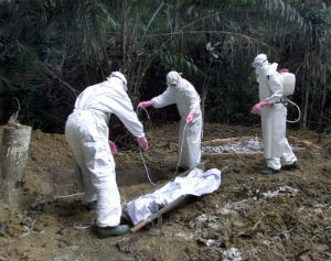 The Ebola outbreak in West Africa has caused the deaths of more than 1,300 people, and currently seems beyond control even as experimental drugs are raced to the affected regions. The Ebola outbreak in West Africa has caused the deaths of more than 1,300 people, and currently seems beyond control even as experimental drugs are raced to the affected regions.