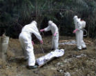 The Ebola outbreak in West Africa has caused the deaths of more than 1,300 people, and currently seems beyond control even as experimental drugs are raced to the affected regions. Image of The Ebola outbreak in West Africa has caused the deaths of more than 1,300 people, and currently seems beyond control even as experimental drugs are raced to the affected regions.