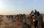 Forced to chant praised to their executioners, jubilant ISIS terrorists killed approximately 250 Syrian prisoners. Image of Forced to chant praised to their executioners, jubilant ISIS terrorists killed approximately 250 Syrian prisoners.