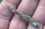 This copper awl, discovered in Israel near the Jordan River suggests that metal use occurred earlier than previously thought. Image of This copper awl, discovered in Israel near the Jordan River suggests that metal use occurred earlier than previously thought.