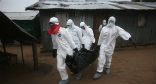 Aid workers carry the body of an Ebola victim, more than 1,000 have died of the virus. Image of Aid workers carry the body of an Ebola victim, more than 1,000 have died of the virus.