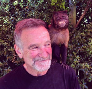 Williams was one of the few small screen talents to successfully transition to movies. 'The World According to Garp,' 'One Hour Photo,' 'Jumanji,' the list goes on and on. He was an Oscar in 1997 for 'Good Will Hunting.' Williams was one of the few small screen talents to successfully transition to movies. 'The World According to Garp,' 'One Hour Photo,' 'Jumanji,' the list goes on and on. He was an Oscar in 1997 for 'Good Will Hunting.'
