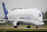 Airbus currently operates five Beluga airbuses, which are the primary way in which the company transports airplane parts. Image of Airbus currently operates five Beluga airbuses, which are the primary way in which the company transports airplane parts.
