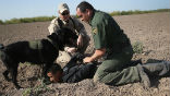 More than 9,000 aliens from countries that are in some way associated with terrorism have been captured within the U.S. in the 2013 fiscal year. Image of More than 9,000 aliens from countries that are in some way associated with terrorism have been captured within the U.S. in the 2013 fiscal year.