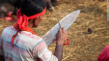 About 5 million Hindus from Nepal and neighboring India took part in a religious festival dedicated to the goddess Gadhimai where 10,000 Buffalo calves and 150,000 goats were slaughtered. Image of About 5 million Hindus from Nepal and neighboring India took part in a religious festival dedicated to the goddess Gadhimai where 10,000 Buffalo calves and 150,000 goats were slaughtered.