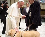 Pope Francis pets a dog Image of Pope Francis pets a dog