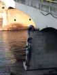 Hearts stop as the fate of the dog and rescuer become unclear. Will they make it back up the bridge? Image of Hearts stop as the fate of the dog and rescuer become unclear. Will they make it back up the bridge?
