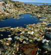Human pollution and exploitation fo the ocean is resulting in mass extinction for numerous marine animals. Image of Human pollution and exploitation fo the ocean is resulting in mass extinction for numerous marine animals.