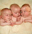 Boe, Mika and Hope love to cuddle. (Magic Moments SWNS.com) Image of Boe, Mika and Hope love to cuddle. (Magic Moments SWNS.com)