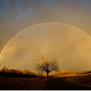Our attitude toward our neighbor is like an index of how well we are responding to God's grace. Our attitude toward our neighbor is like an index of how well we are responding to God's grace.