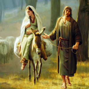 On this day the Franciscans of the Immaculate celebrate the espousal of Mary and Joseph. On this day the Franciscans of the Immaculate celebrate the espousal of Mary and Joseph.