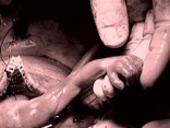 The great human rights movement of our age is the struggle to restore to the Civil and positive law the legal recognition of the fundamental Human Right to Life. It is already a fundamental human right, and one which can never be taken away. This Right to Life is the foundation of all other rights. It is the first solidarity issue. The child in the womb is our innocent neighbor. It is wrong to kill any innocent neighbor. We know this and we have perpetuated the lie for too long. Image of The great human rights movement of our age is the struggle to restore to the Civil and positive law the legal recognition of the fundamental Human Right to Life. It is already a fundamental human right, and one which can never be taken away. This Right to Life is the foundation of all other rights. It is the first solidarity issue. The child in the womb is our innocent neighbor. It is wrong to kill any innocent neighbor. We know this and we have perpetuated the lie for too long.