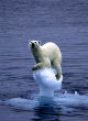Global warming may not be as real as scientists want you to believe, according to weather trending research. Image of Global warming may not be as real as scientists want you to believe, according to weather trending research.