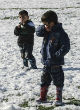 Image of