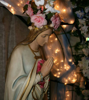 Fr. Elias on the Presentation of the Lord where Our Lady, who is the true temple, brings the light of the world to the man made temple in Jerusalem. Fr. Elias on the Presentation of the Lord where Our Lady, who is the true temple, brings the light of the world to the man made temple in Jerusalem.
