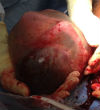 (Cedars-Sinai Medical Center in Los Angeles) Image of (Cedars-Sinai Medical Center in Los Angeles)