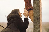 Image of