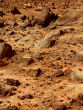 Liquid water has been found in Martian soil, but that doesn't mean life is likely to be found. Image of Liquid water has been found in Martian soil, but that doesn't mean life is likely to be found.