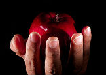 Vice and sin are diseases of the soul, and God can punish the body for the offenses of the soul. This is a great mercy which can help its conversion and give greater glory to God. Image of Vice and sin are diseases of the soul, and God can punish the body for the offenses of the soul. This is a great mercy which can help its conversion and give greater glory to God.