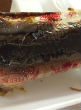 A burned burrito, covered in the melted plastic from its wrapper, was served to kids at Philippi Middle School in West Virginia. Image of A burned burrito, covered in the melted plastic from its wrapper, was served to kids at Philippi Middle School in West Virginia.
