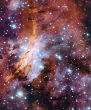 The Prawn Nebula -dense concentration of ionized gas and dust- 'births' three clusters of newborn stars captured with the MPG/ESO 2.2 metre telescope at the La Silla Observatory in Chile as part of ESO's Cosmic Gems program. Image of The Prawn Nebula -dense concentration of ionized gas and dust- 'births' three clusters of newborn stars captured with the MPG/ESO 2.2 metre telescope at the La Silla Observatory in Chile as part of ESO's Cosmic Gems program.