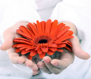 Do unto others as God has done unto you. Do unto others as God has done unto you.