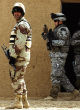 Iraqi allies are responsible for navigating U.S. troops through unknown terrain and have helped journalists, aid workers and diplomats survive, but the United States refuses known allies citizenship based on matters Image of Iraqi allies are responsible for navigating U.S. troops through unknown terrain and have helped journalists, aid workers and diplomats survive, but the United States refuses known allies citizenship based on matters