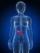 A simple blood test can predict kidney disease five years before kidney damage begins. Image of A simple blood test can predict kidney disease five years before kidney damage begins.