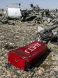 Russian airbus could have been downed by explosives. Image of Russian airbus could have been downed by explosives.