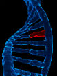 Study suggests 90 percent of cancers can be prevented. Image of Study suggests 90 percent of cancers can be prevented.