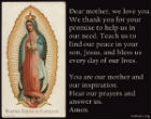 Image of Our Lady of Guadalupe