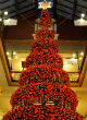 Sydney's historic Strand Arcade featured a tree that held 2,000 baubles, 1,000 fairy lights and 200 butterflies (StrandArcade.com). Image of Sydney's historic Strand Arcade featured a tree that held 2,000 baubles, 1,000 fairy lights and 200 butterflies (StrandArcade.com).